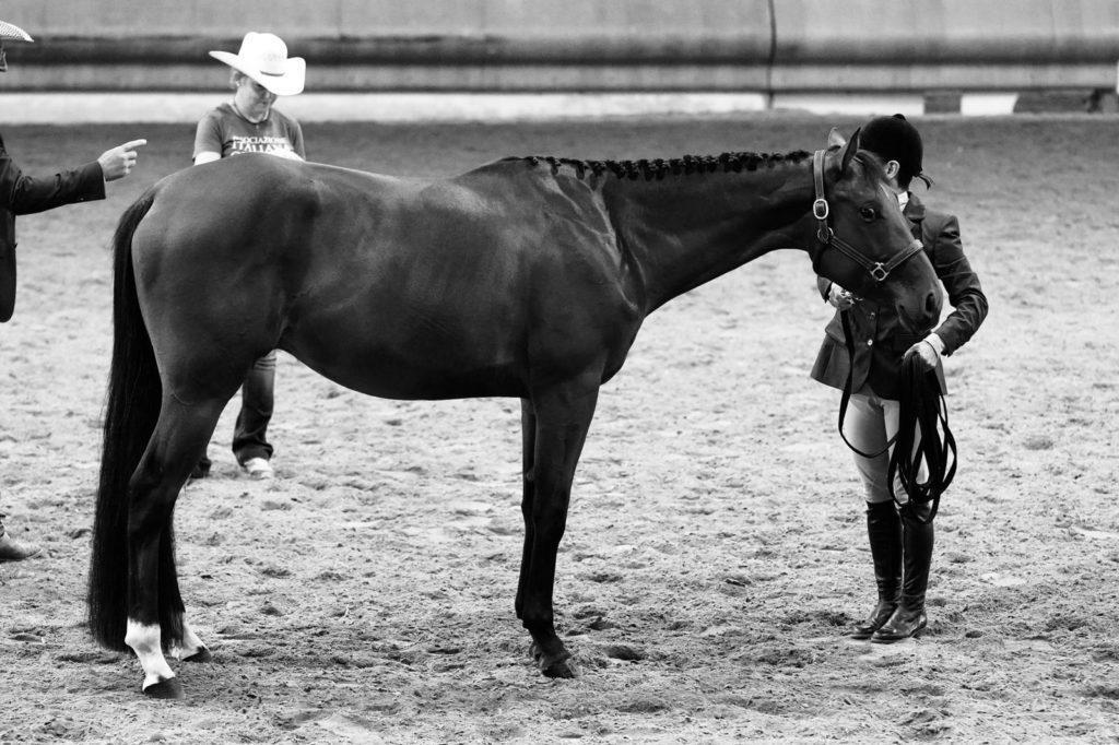 BM Golden valentine e Ilaria Barbonaglia 2’anni longe Line 3’ class