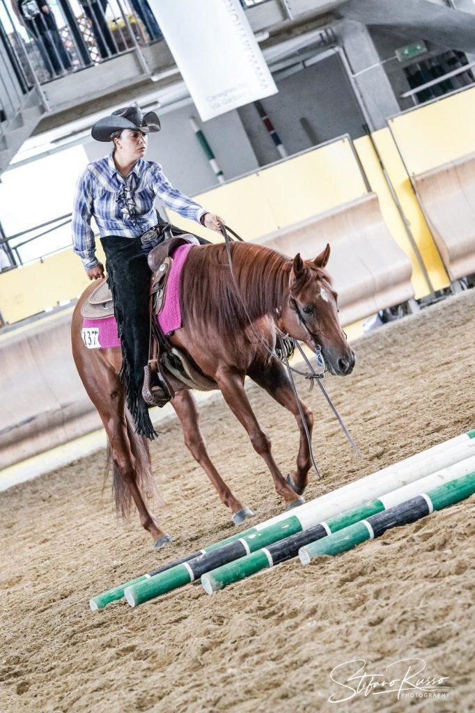 Eleonora D’Alessio é Dun it on ice aka Mice. Argento in novice amateur ranch riding . 5 posto in é western horsmanship 5 novice amateur reining e 4 halter