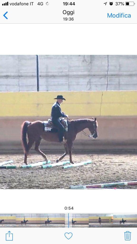 Luca Rossi settimo in trail horse nocive amateur