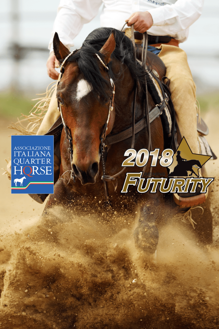 futurity_reining_aiqh1 AIQH