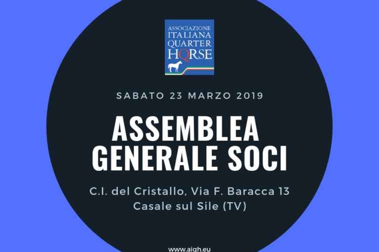 Assemblea Generale AIQH marzo 2019