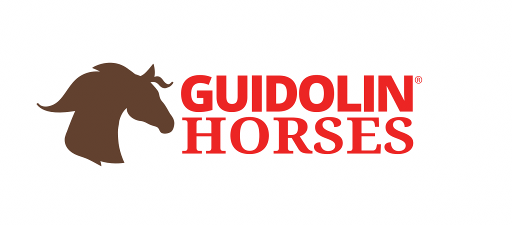 Guidolin Horses, programma Puledri.
