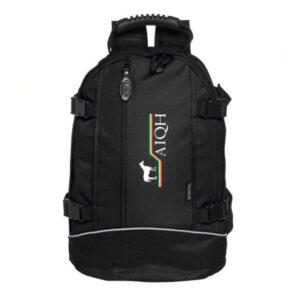 Backpack II