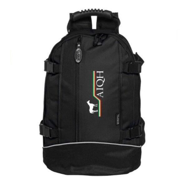 Backpack II