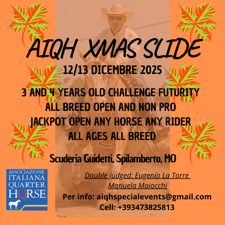 AIQH XMAS SLIDE 2025